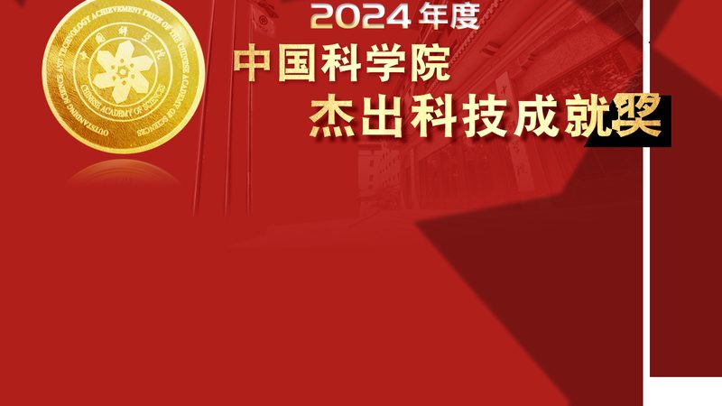 研发外包团队与自建团队：性能与成本的权衡之道