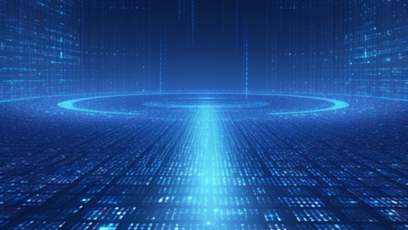 网络科技有限公司